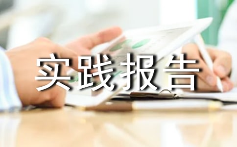 社会实践报告范文3000字(精选37篇)