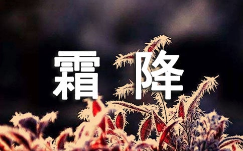 ˪�������������