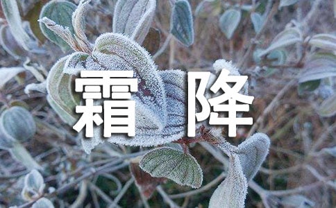 ˪����ܰ�ʺ����ѡ50�䣩