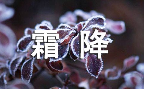 ����˪��������9ƪ