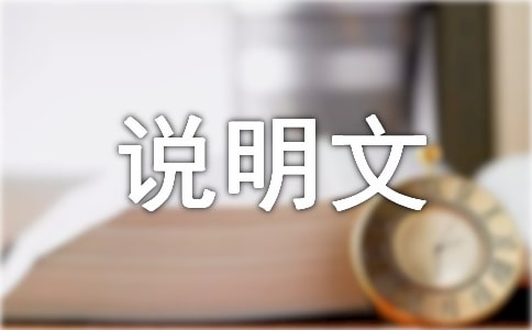 �������wordͼƬ�е�˵������