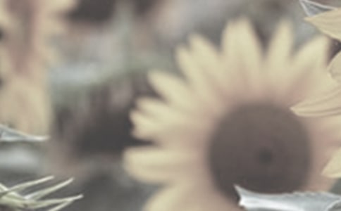 ̫�����۲��ռǣ�ͨ��16ƪ��