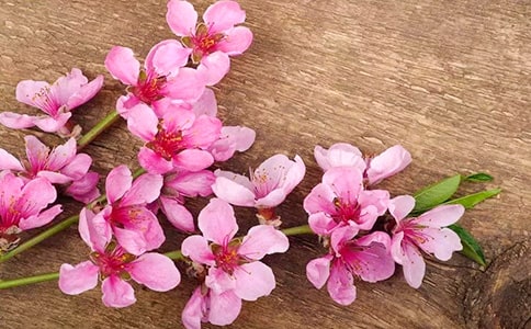 ��д�һ��ֵ�Ψ������