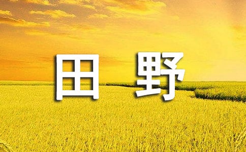 ��Ұ���ļ�����-�ļ�����