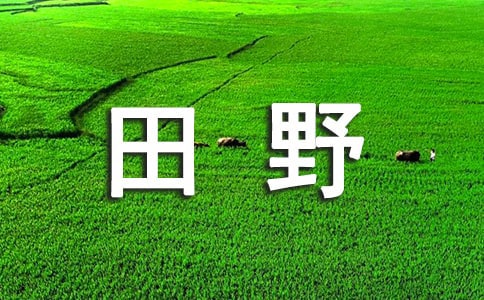 [����]�ļ�����Ұ����