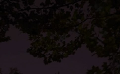 ������־���������ѡ75�䣩