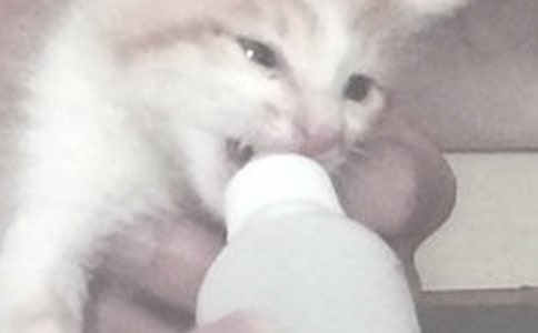 喂奶注意事项有哪些