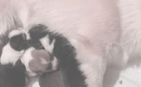 ι�̻�����ʽ��ע������