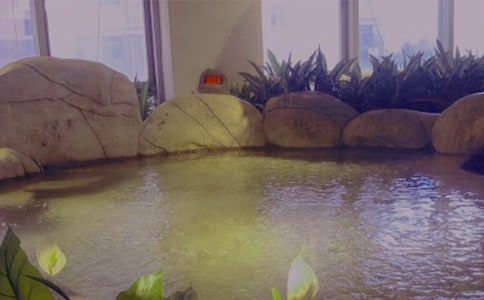 桂林龙胜温泉导游词
