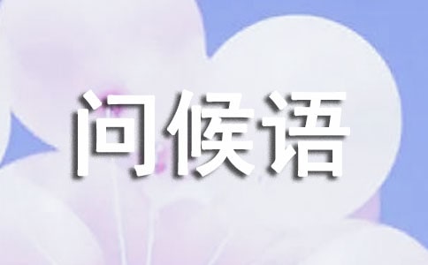 ÿ�����Ϻõ��ʺ��ﵥ��