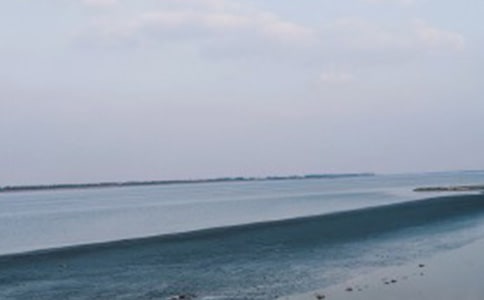 《城南旧事》之《我们看海去》读后感范文