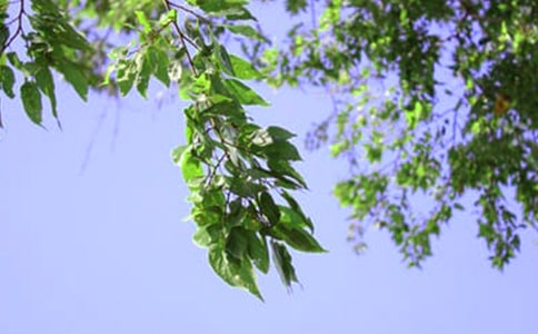 ��ܰ���簲�ʺ���75��