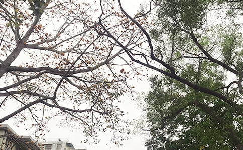 ����ů���簲����170��