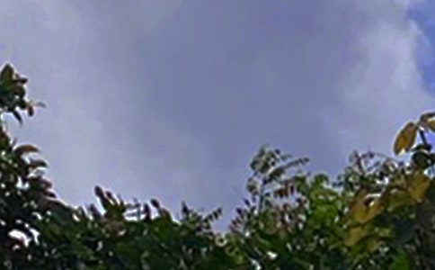 2024����ů���簲�ʺ��Ｏ��56��