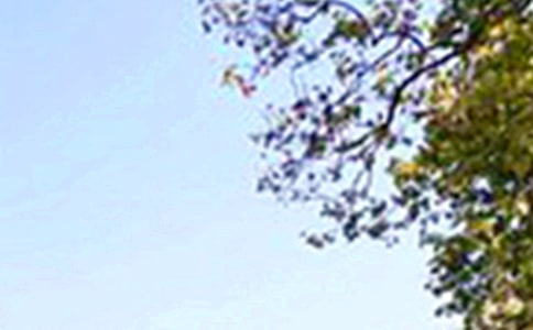 ��ܰ���簲΢���ʺ���27��