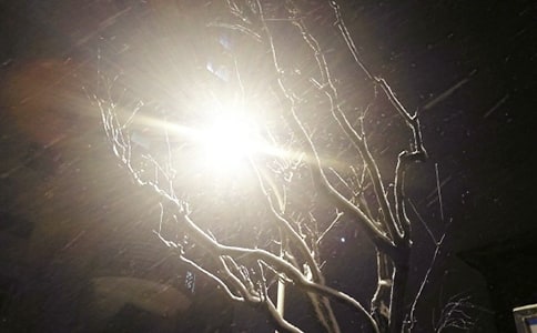 ��ѩ����˵˵ǩ�����ܣ�ͨ��70�䣩