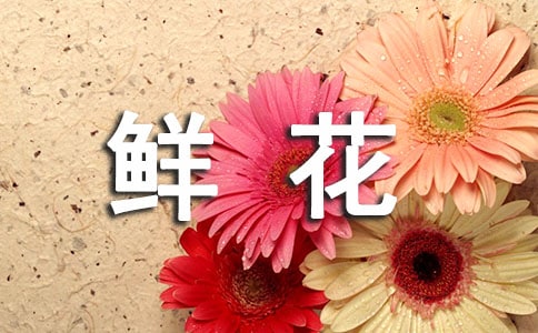 和鲜花有关的谚语
