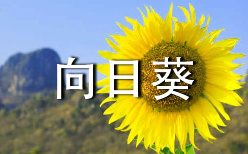 �۲����տ��ռ�200��