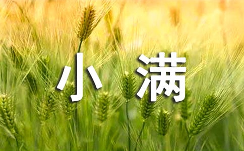 表达小满节气的谚语俗语