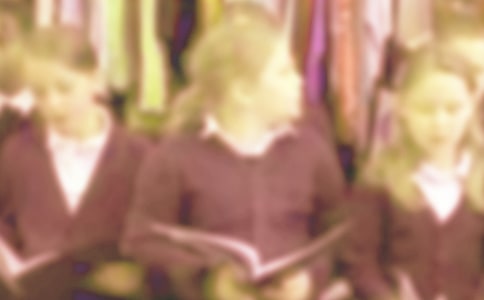 小学生毕业鉴定