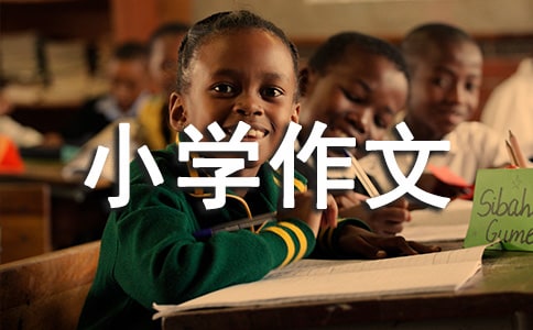 最新小学作文的评语大全