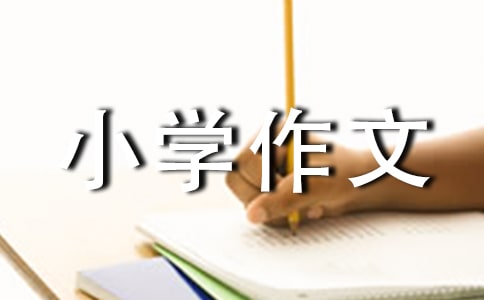 ����������Сѧ����12ƪ