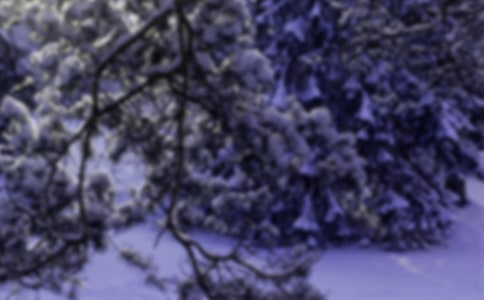 小雪节气的优秀谚语