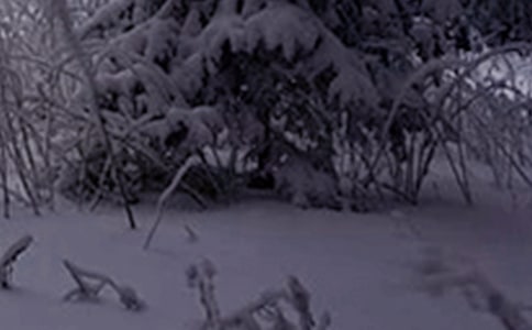 北方小雪节气有什么习俗?