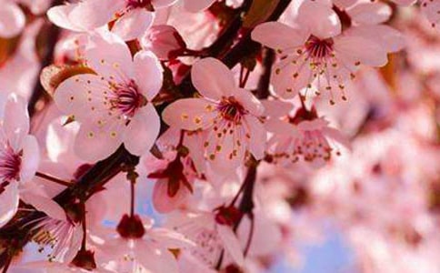 ��дӣ����Ψ�����Ӿ�ѡ