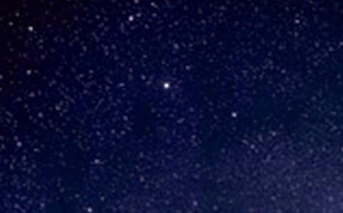 д����Ψ������