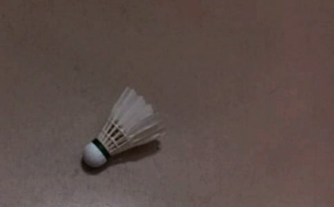��ë�������߻���