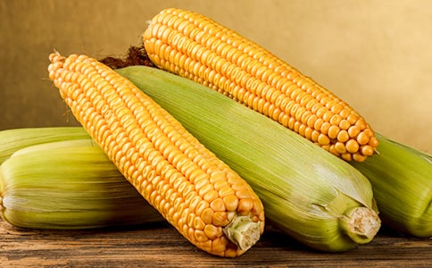 ���ױ��ļҳ�����