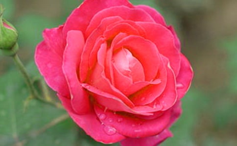 �۲��ռ������¼���