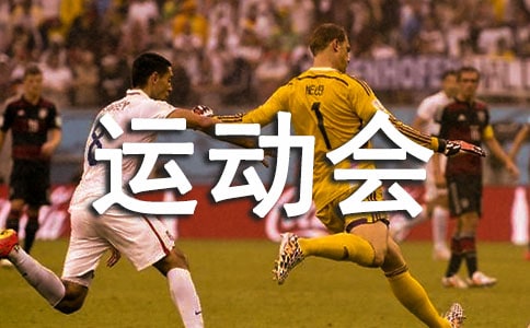 运动会活动总结