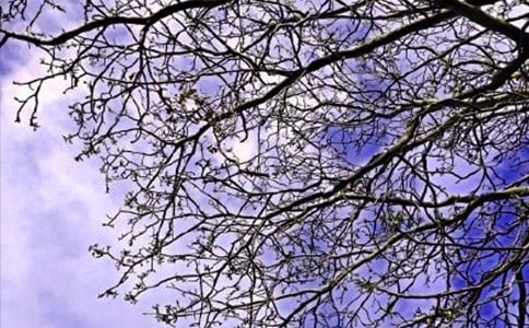 �����־�簲�������65�侫ѡ