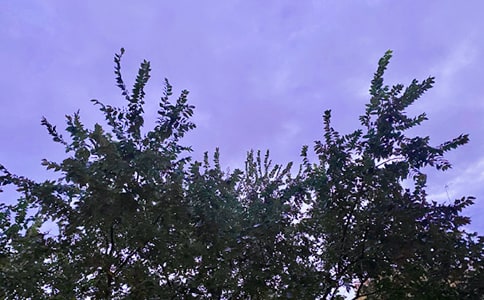 ���ů���簲���ͨ��35�䣩