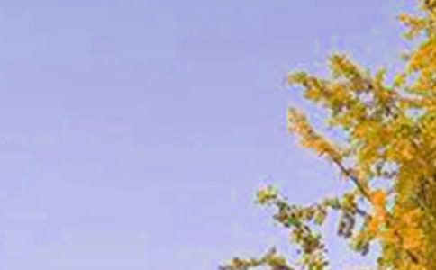 ������ܰ�簲���ͨ��35�䣩