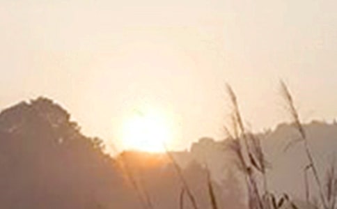 有关个性早安签名汇总(通用190句)