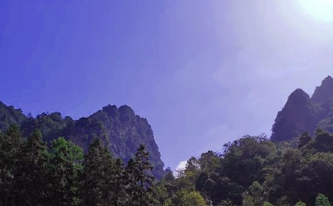 �żҽ�����Դ���������δ�