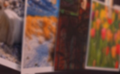 Adobe Bridge���ɣ��ùؼ��ֿ��ٲ�����Ƭ