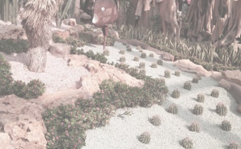 万石植物园导游词