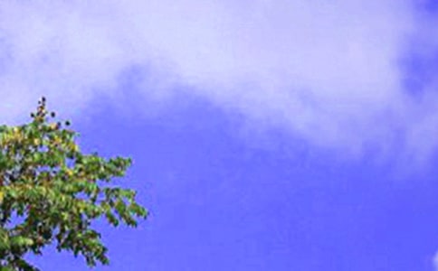 ���糳�ּ����鷶��