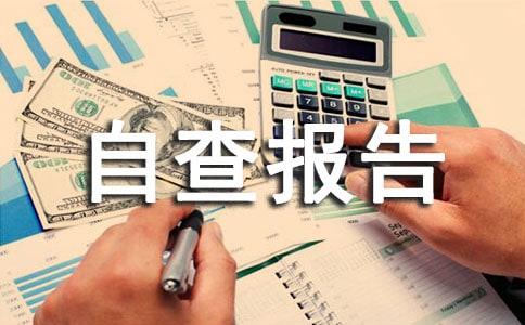 营商环境自查报告范文