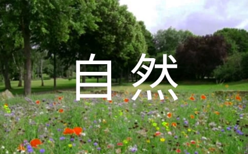 ��Ȼ��֤�����۶����