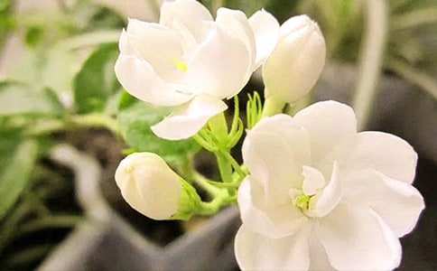 �۲��ռ�����