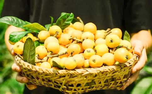 ����Ҷ�Ĺ�Ч�����ü�������-����Ҷ��ˮ�Ĺ�Ч