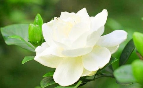 ���ӻ��Ĺ۲��ռ�