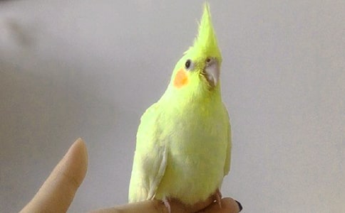 ��Ȥ�����Ĺ۲��ռ�