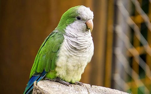 �۲������ռ�