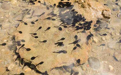 С���۲��ռ�200��